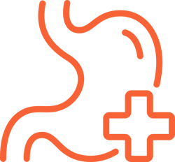 Stomach