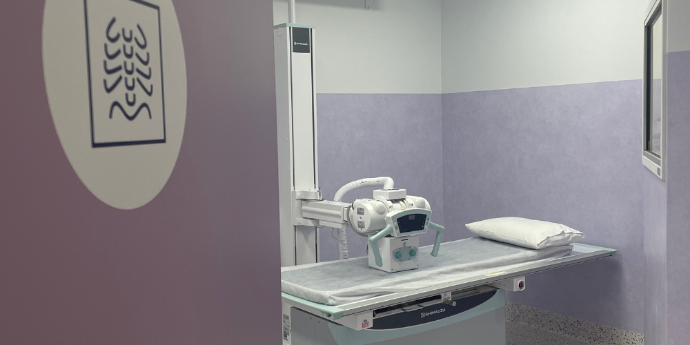 Children's X-Rays: What to Expect at Kinkaya.